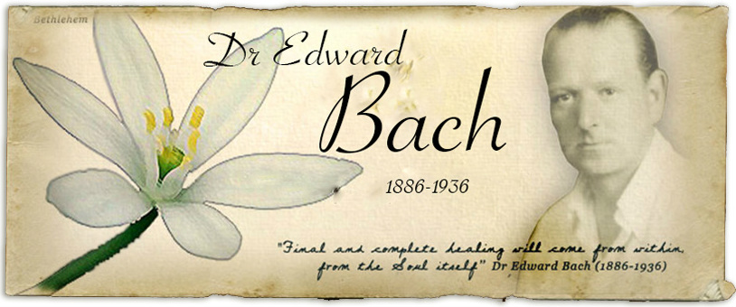 An Introduction to the Bach Flower Remedies